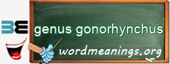 WordMeaning blackboard for genus gonorhynchus